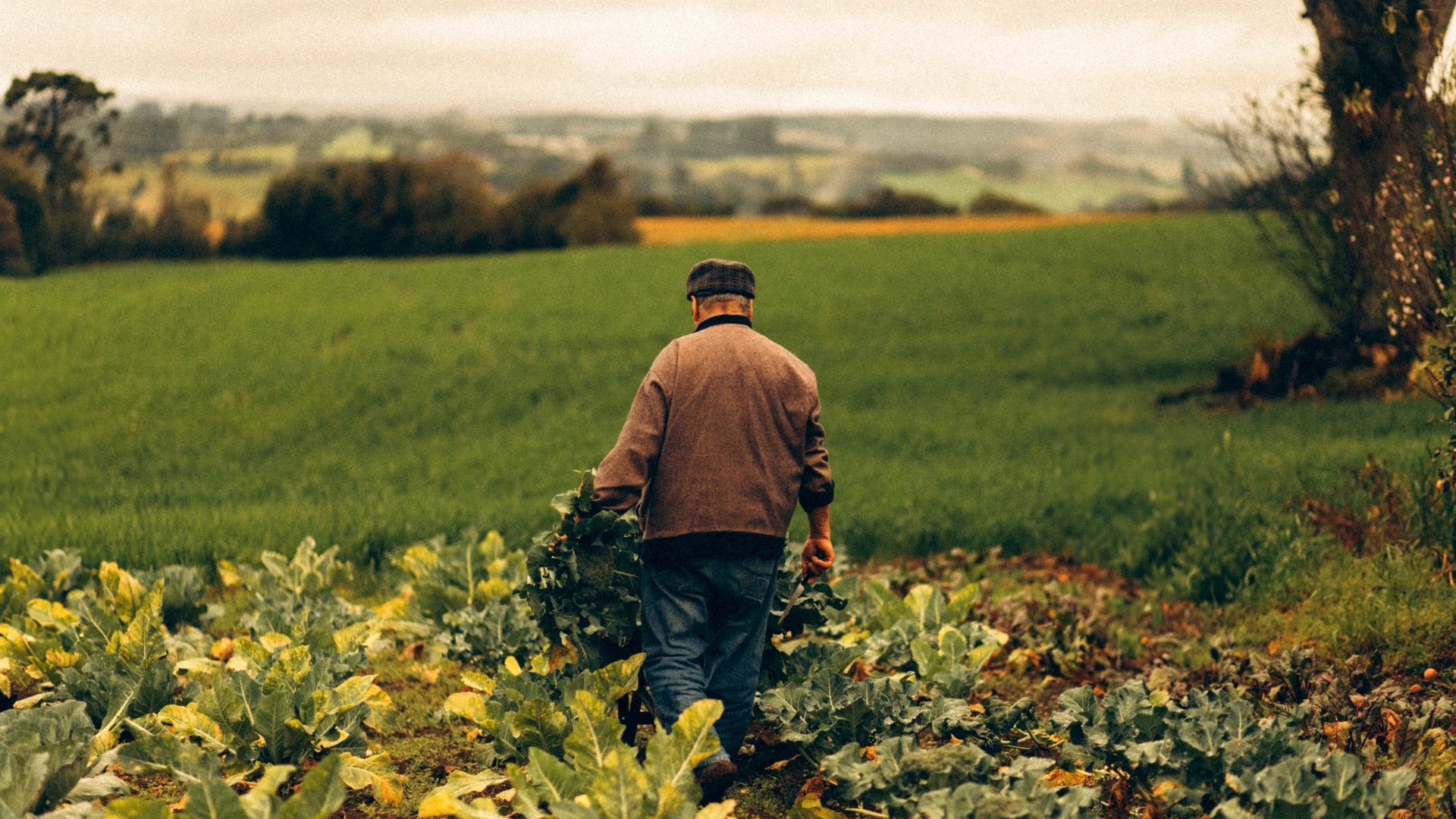Landwirt bei der Arbeit auf einer landwirtschaftlich genutzten Fläche